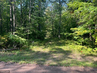 52067 183rd Ave, McGregor, MN 55760 - photo 7