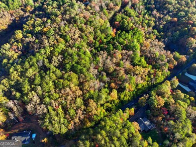 0 Autumn Ridge Drive Lot 10 & Lot 11 Dr unit 10647540, Mineral Bluff, GA 30559 - photo 3
