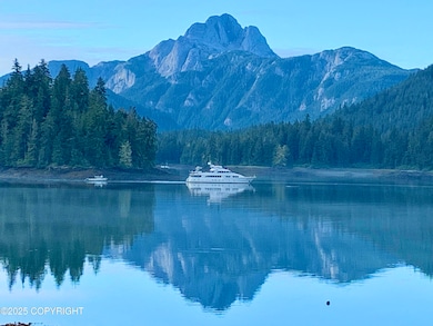 L3B2 Port Protection, Port Protection, AK 99000 - photo 5