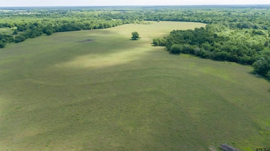 2729 Texas 37, Mount Vernon, TX 75457 - photo 3