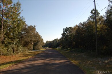 8815 N Tempest Dr, Citrus Springs, FL 34433 - photo 5