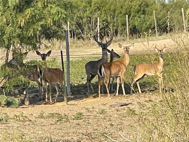 0 NE Loma Blanca Rd NE unit 463874, Roma, TX 78584 - photo 3