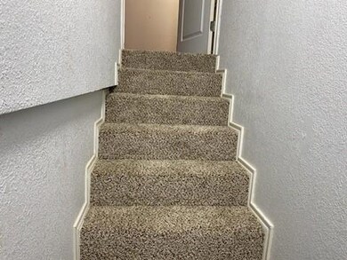 8957 County Road 864, Princeton, TX 75407 - photo 5