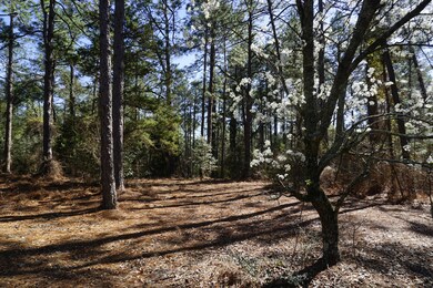 Quail Run