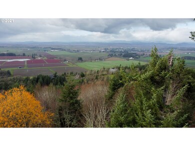 0 SE Sartore Rd unit 21649794, Amity, OR 97101 - photo 2