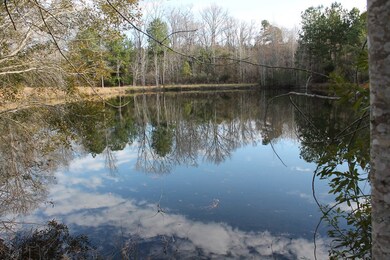 0 Highway 220 unit 449638, Lincolnton, GA 30817 - photo 6