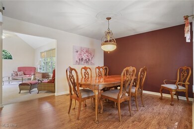 10502 White Ash Trail, Twinsburg, OH 44087 - photo 7