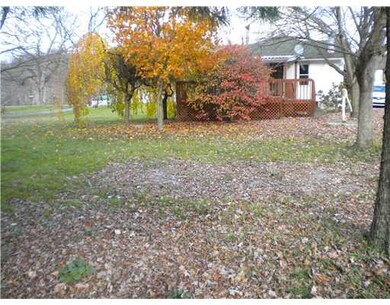 Yard/Garden.