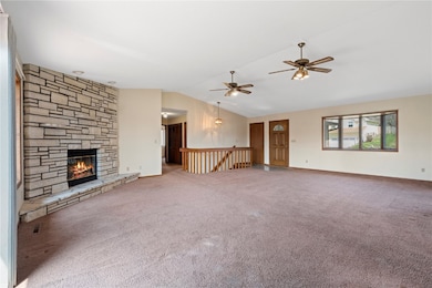 Wood-burning fireplace