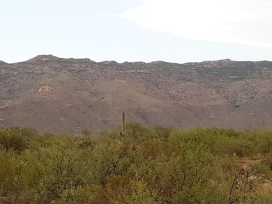 Back Yard View