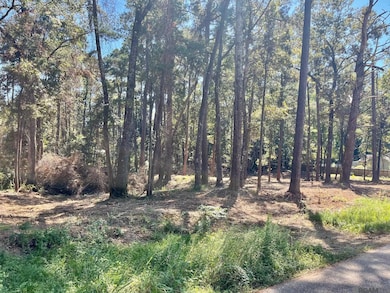 15912 Chaumont Ave, Central, LA 70739 - photo 4