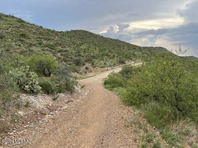 0 Goodenough Trail unit Lot 5 22525012, Vail, AZ 85641 - photo 4