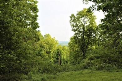 12392 Green Rd, West Fork, AR 72774 - photo 7