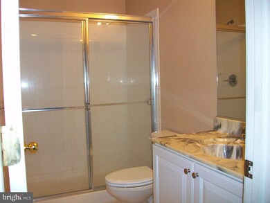 4320 Vintage Ivy Ln, Owings Mills, MD 21117 - photo 7