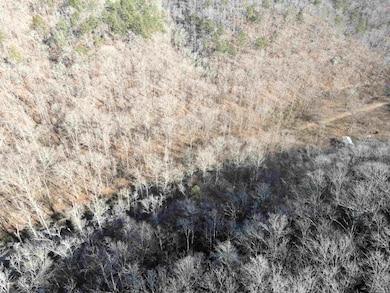 000 Carly Rd, Clinton, AR 72031 - photo 5