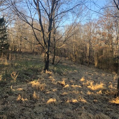 14259 Lott Rd, Elm Springs, AR 72762 - photo 3