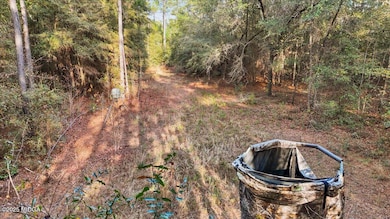 0 Massey Rd unit 182406, Tennille, GA 31089 - photo 5