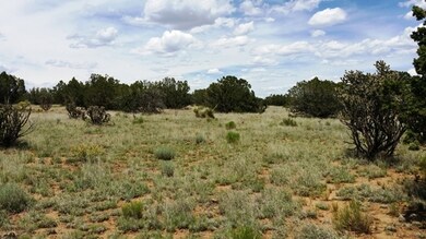 995 Ranch View Loop, White Oaks, NM 88301 - photo 5