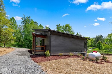 168 Ewing St, Blue Ridge, GA 30513 - photo 6