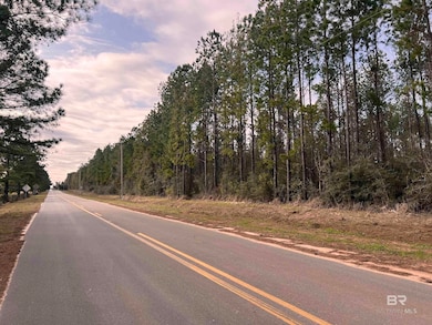 0 Comstock Rd unit 1 374277, Elsanor, AL 36530 - photo 2