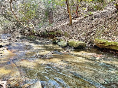 XX Marble Branch Trail, Walhalla, SC 29691 - photo 3