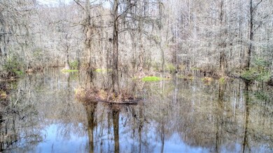 369 Mill Branch Rd, Warwick, GA 31796 - photo 4