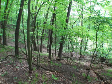 DSC02879