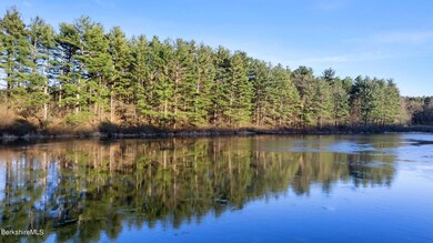Pond