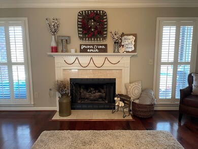 Living Room - Fireplace