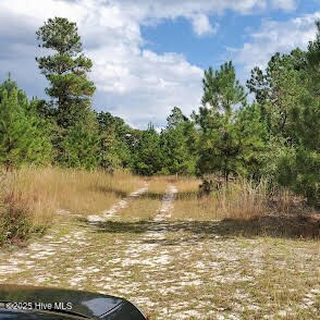 16369 Palmer Rd, Marston, NC 28363 - photo 7