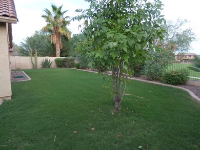 RUSTLER BACK YARD 2