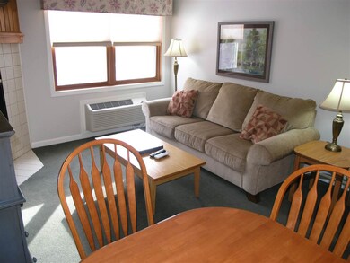 164 Deer Park Dr unit 163 B, Woodstock, NH 03262 - photo 7