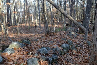 250 Chemung Rd, Meredith, NH 03253 - photo 7