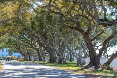 Live Oak canopy