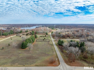 247 S Lakeview Rd, Dahinda, IL 61428 - photo 5