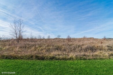 4799 Waa Kee Sha Dr, Oswego, IL 60543 - photo 2