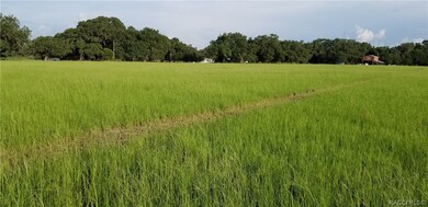 0 Sutton Oaks Ln unit 780622, Zephyrhills, FL 33541 - photo 7