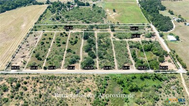 226 Tumbleweed Trail, Dale, TX 78616 - photo 6