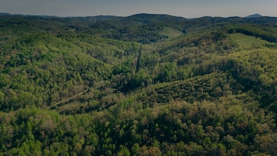 8270 Twin Falls Rd NE, Copper Hill, VA 24079 - photo 5