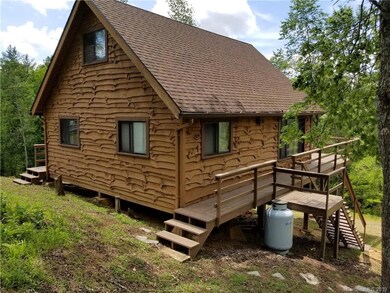 238 Springwater Dr, Burnsville, NC 28714 - photo 2