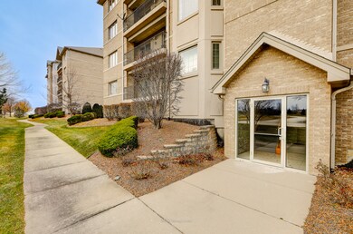 14130 Sheffield Dr unit 302, Homer Glen, IL 60491 - photo 2