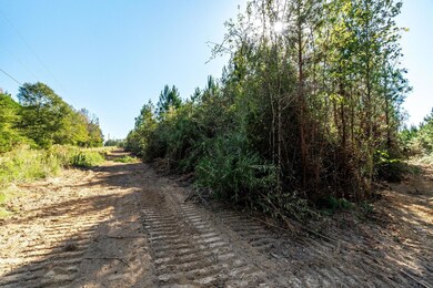 Parcel 3, Tylertown, MS 39667 - photo 6