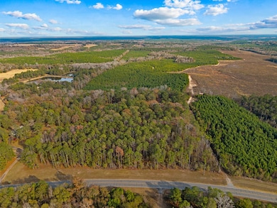 84 Weaver Ln, Buena Vista, GA 31803 - photo 6