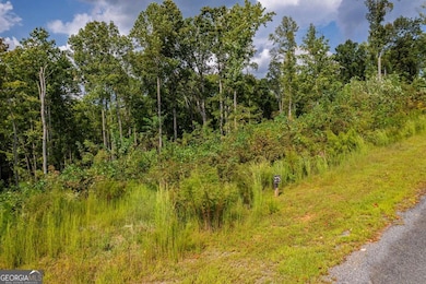 LT 275 Highgrove Dr, Talking Rock, GA 30175 - photo 5