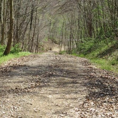 5885 Savage Hill Rd SE, Sugar Grove, OH 43155 - photo 5