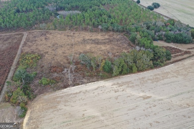 0 Jowers Rd, Whigham, GA 39897 - photo 3