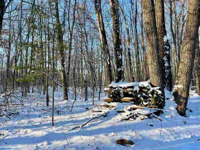 80 acres Crescent Rd, Warrens, WI 54666 - photo 3