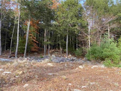 102 Cow Island, Tuftonboro, NH 03894 - photo 4