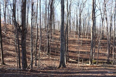 Lot 2C Wilderness Way, Moneta, VA 24121 - photo 6