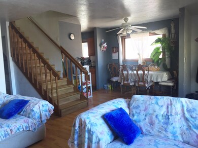 Living Dining area